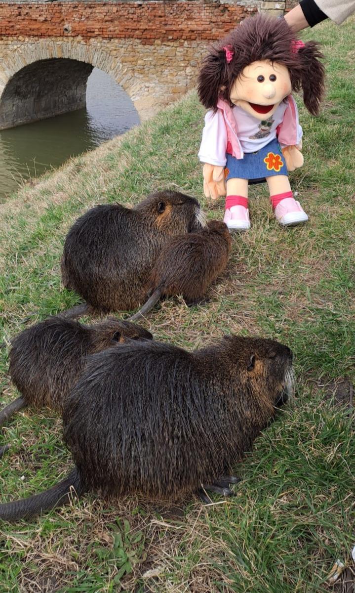 Maňuška Monika a nutrie pri Holíčskom zámku