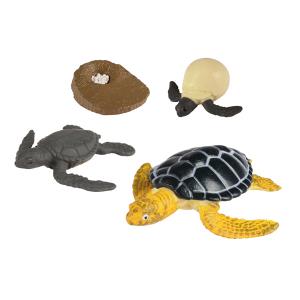 Edukatívna sada - životný cyklus morskej korytnačky
