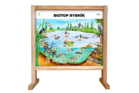 Stolný biotop s magnetmi - Rybník