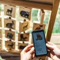 Pexeso zvukové stolné – Na dvore QR Pexeso zvukové stolné – Na dvore QR