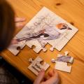 Puzzle - Vtáky okolo nás